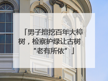 男子擅挖百年大樟树，检察护绿让古树“老有所依”