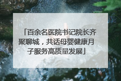 百余名医院书记院长齐聚聊城，共话母婴健康月子服务高质量发展