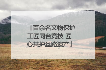 百余名文物保护工匠同台竞技 匠心共护丝路遗产