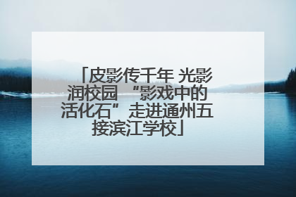 皮影传千年 光影润校园 “影戏中的活化石”走进通州五接滨江学校