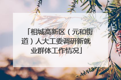 相城高新区（元和街道）人大工委调研新就业群体工作情况
