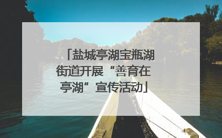 盐城亭湖宝瓶湖街道开展“善育在亭湖”宣传活动