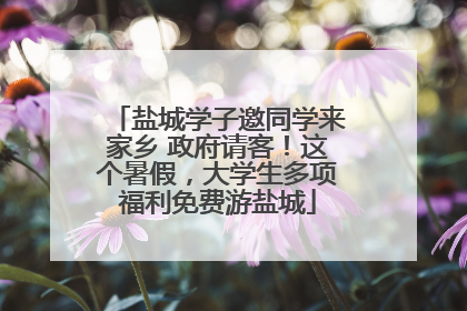 盐城学子邀同学来家乡 政府请客！这个暑假，大学生多项福利免费游盐城