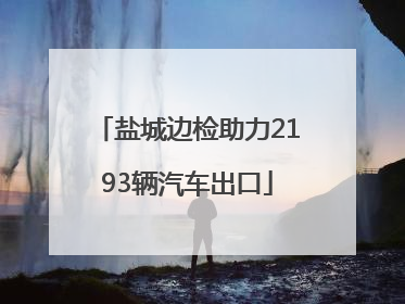 盐城边检助力2193辆汽车出口