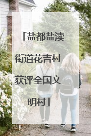 盐都盐渎街道花吉村获评全国文明村