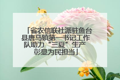 省农信联社派驻鱼台县唐马镇第一书记工作队助力“三夏”生产 彰显为民担当