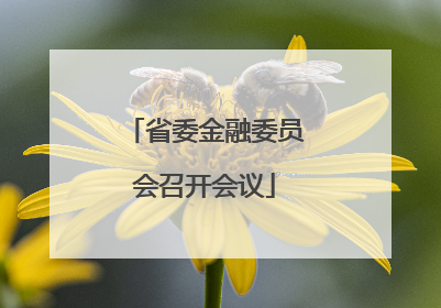 省委金融委员会召开会议