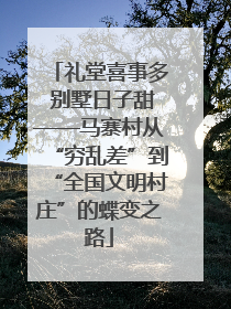 礼堂喜事多 别墅日子甜——马寨村从“穷乱差”到“全国文明村庄”的蝶变之路