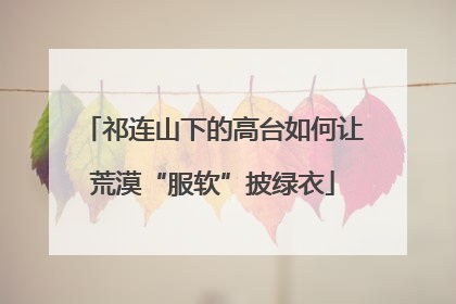祁连山下的高台如何让荒漠“服软”披绿衣