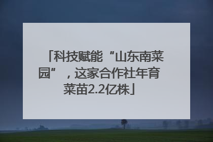 科技赋能“山东南菜园”，这家合作社年育菜苗2.2亿株