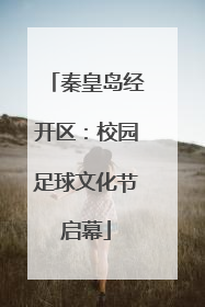 秦皇岛经开区：校园足球文化节启幕