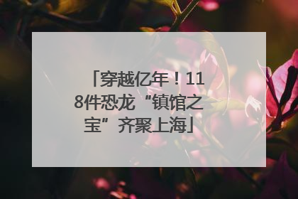 穿越亿年！118件恐龙“镇馆之宝”齐聚上海