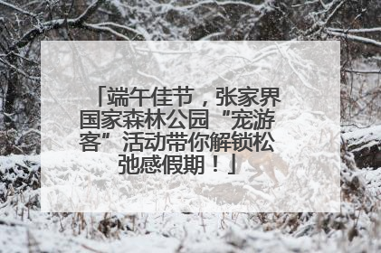 端午佳节，张家界国家森林公园“宠游客”活动带你解锁松弛感假期！
