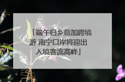 端午归乡叠加跨境游 南宁口岸将迎出入境客流高峰
