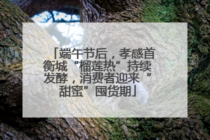 端午节后，孝感首衡城“榴莲热”持续发酵，消费者迎来“甜蜜”囤货期