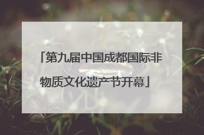 第九届中国成都国际非物质文化遗产节开幕