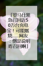 罗马仕紧急召回近50万台充电宝！可能燃烧……网友：倒是说明咋召回啊
