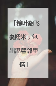 粽叶翻飞裹糯米，包出温馨邻里情