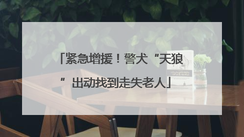 紧急增援！警犬“天狼”出动找到走失老人