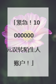 紧急！10000000元误转陌生人账户！