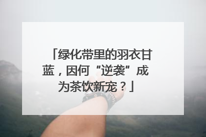 绿化带里的羽衣甘蓝，因何“逆袭”成为茶饮新宠？