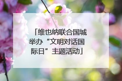 维也纳联合国城举办“文明对话国际日”主题活动