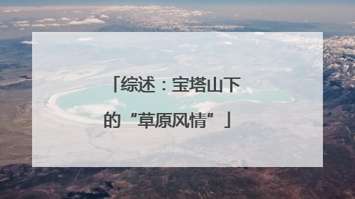 综述：宝塔山下的“草原风情”