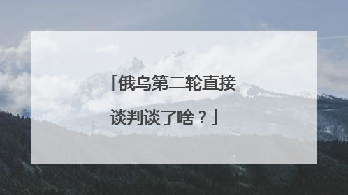 俄乌第二轮直接谈判谈了啥？