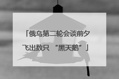 俄乌第二轮会谈前夕 飞出数只 “黑天鹅”