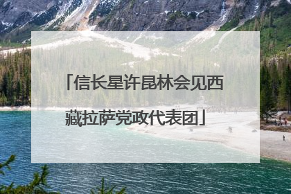 信长星许昆林会见西藏拉萨党政代表团