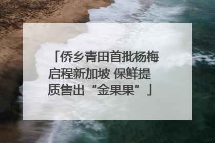 侨乡青田首批杨梅启程新加坡 保鲜提质售出“金果果”