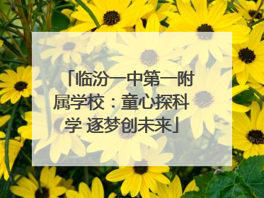 临汾一中第一附属学校：童心探科学 逐梦创未来