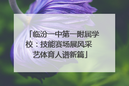 临汾一中第一附属学校：技能赛场展风采 艺体育人谱新篇