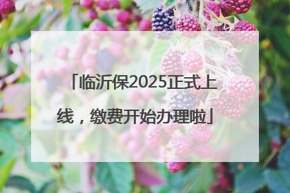 临沂保2025正式上线，缴费开始办理啦