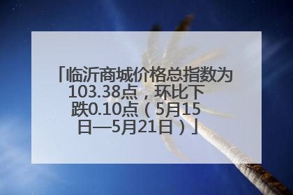 临沂商城价格总指数为103.38点，环比下跌0.10点（5月15日—5月21日）