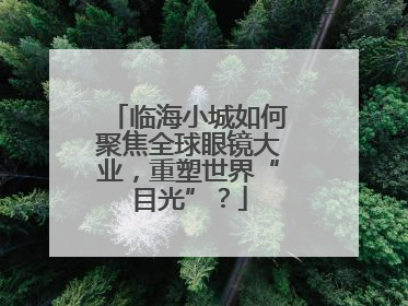 临海小城如何聚焦全球眼镜大业，重塑世界“目光”？