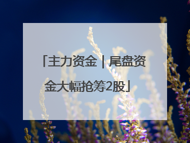 主力资金｜尾盘资金大幅抢筹2股