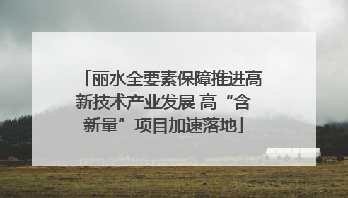 丽水全要素保障推进高新技术产业发展 高“含新量”项目加速落地