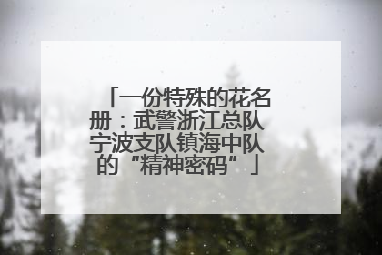 一份特殊的花名册：武警浙江总队宁波支队镇海中队的“精神密码”