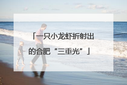 一只小龙虾折射出的合肥“三重光”