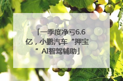 一季度净亏6.6亿，小鹏汽车“押宝”AI智驾辅助