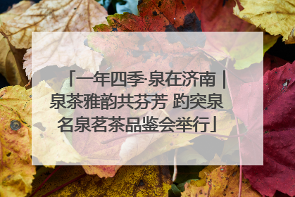 一年四季·泉在济南｜泉茶雅韵共芬芳 趵突泉名泉茗茶品鉴会举行