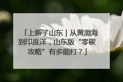 上新了山东｜从黄渤海到印度洋，山东版“零碳攻略”有多能打？