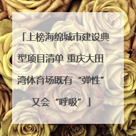 上榜海绵城市建设典型项目清单 重庆大田湾体育场既有“弹性”又会“呼吸”