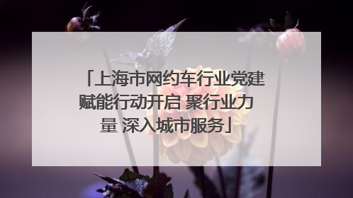 上海市网约车行业党建赋能行动开启 聚行业力量 深入城市服务