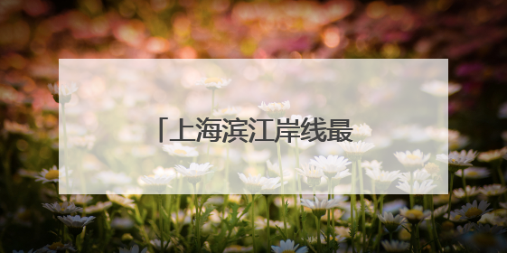 上海滨江岸线最长的中心城区向全球发出诚挚邀约