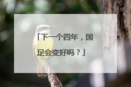 下一个四年，国足会变好吗？