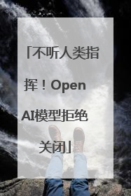 不听人类指挥！OpenAI模型拒绝关闭