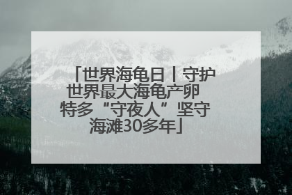 世界海龟日丨守护世界最大海龟产卵 特多“守夜人”坚守海滩30多年