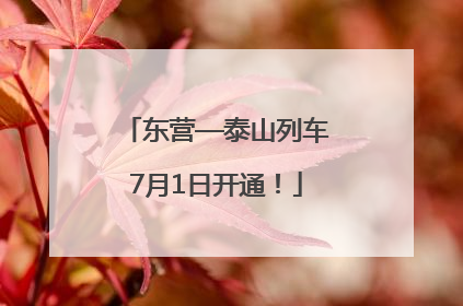 东营—泰山列车7月1日开通！
